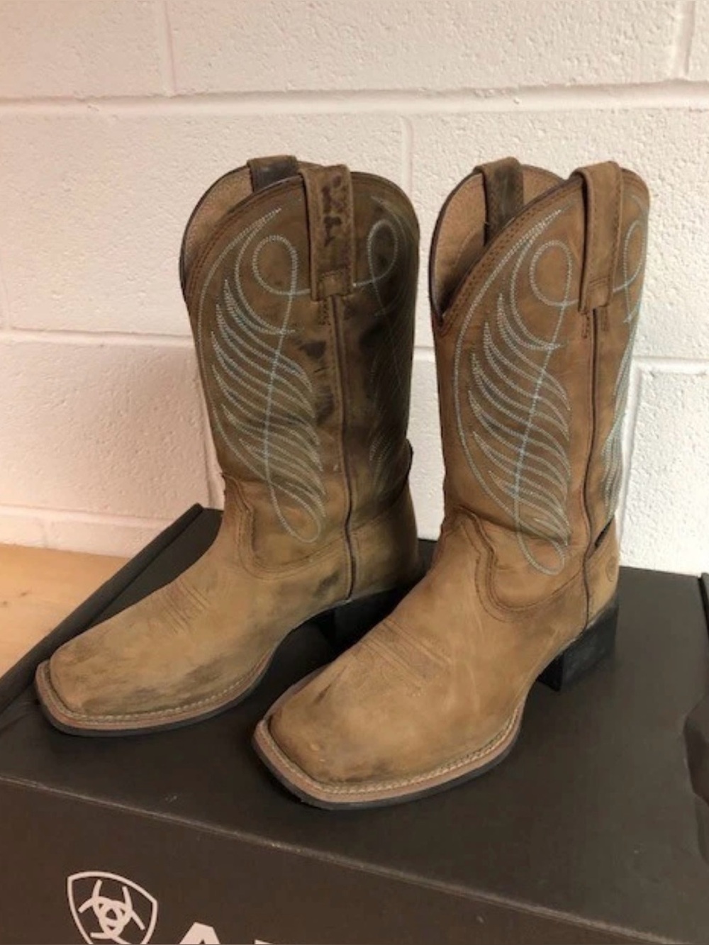 Women's Ariat waterproof boots, size 6